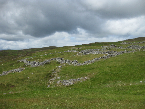 Homestead enclosure at Riechappel